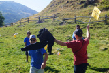 Teamtag im Wallis