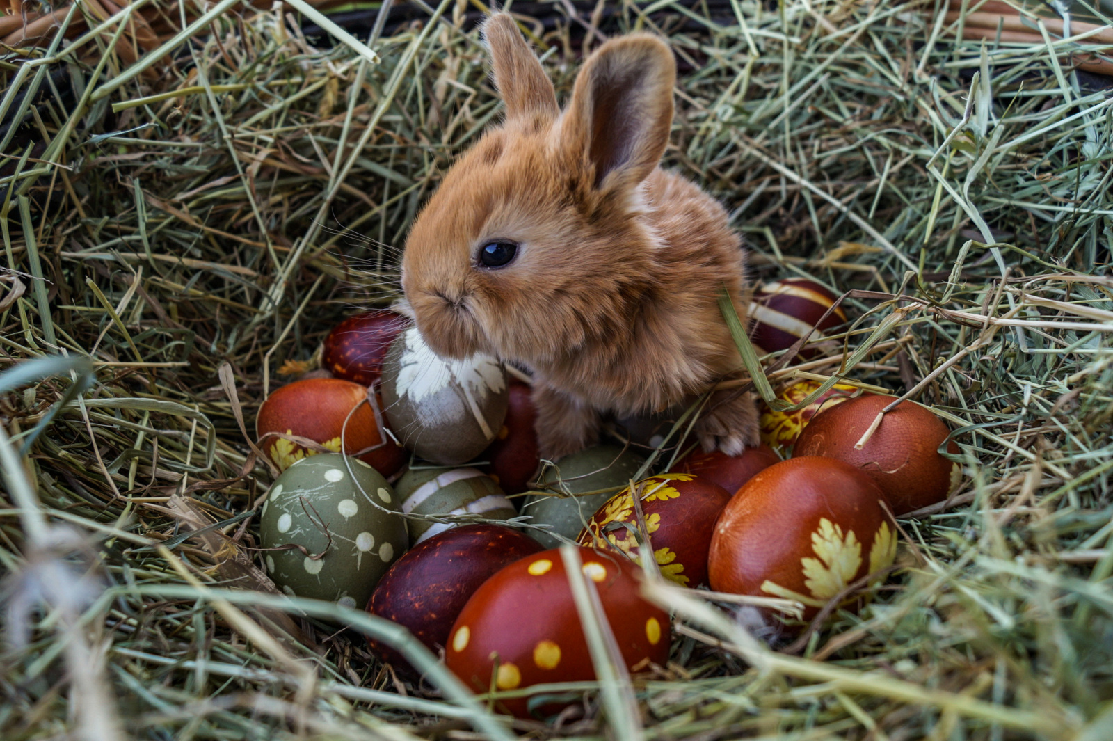                                 - Öffnungszeiten Ostern