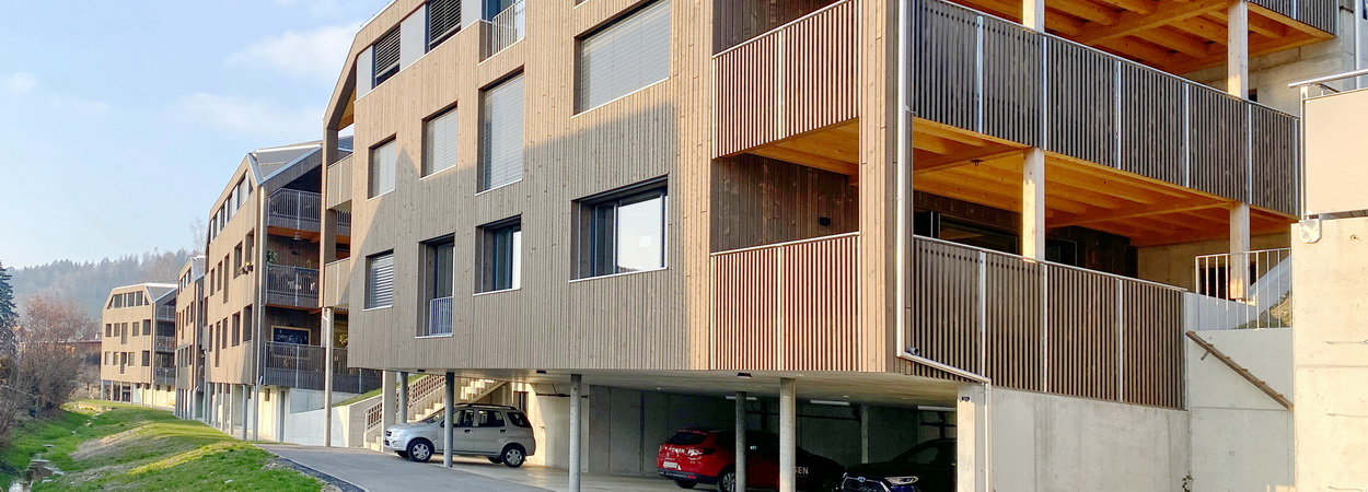 In einem ökologischen Holz-Energiehaus wohnen