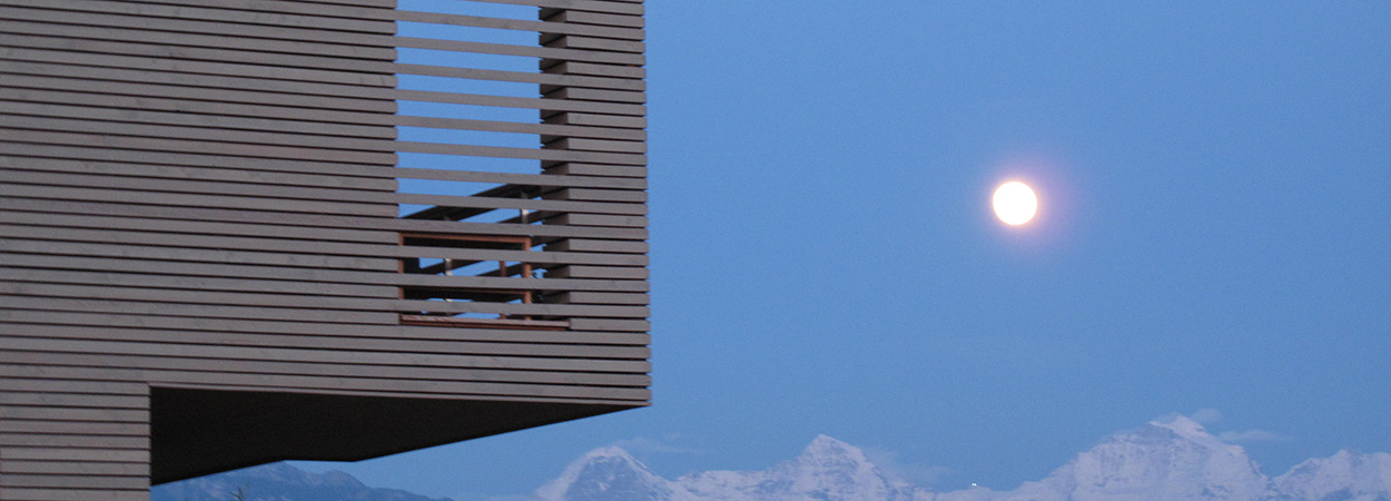 Stimmungsbild Fassade Holz und Mond